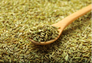 Fennel Seeds. Courtesy: TBS HerbTrove