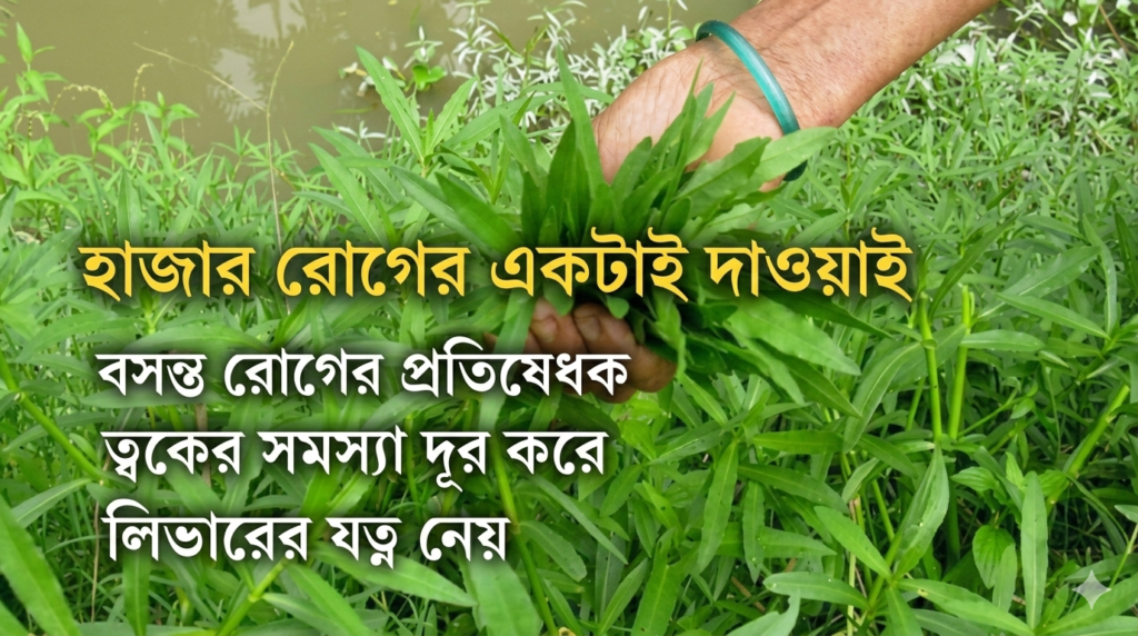 Helencha Shak Benefits. @TBSHerbTrove