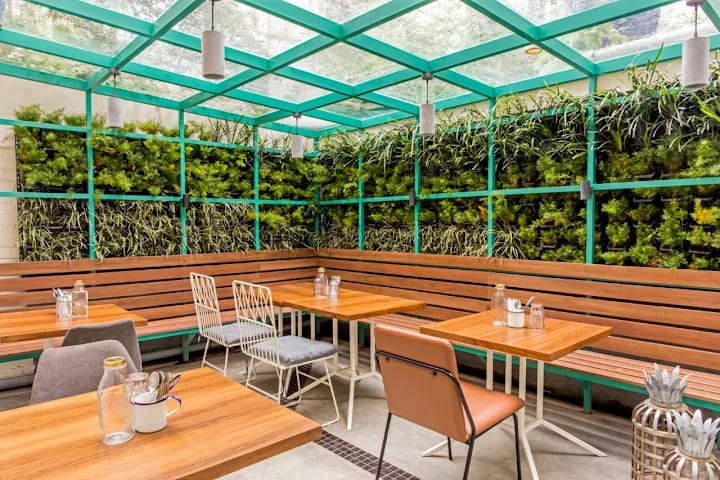 Vegan Cafes Kolkata: কলকাতা Becomes ভেগান, রইল ক্যাফের হদিশ