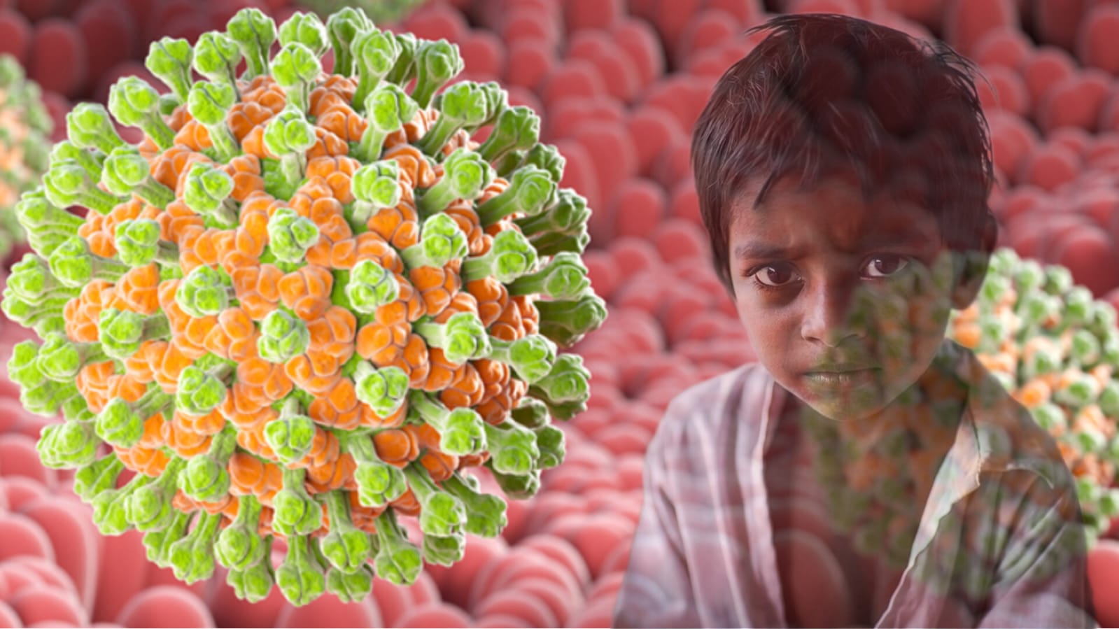 Rotavirus Diet: রোটা ভাইরাসে আক্রান্ত বাচ্চাদের কী খাওয়াবেন